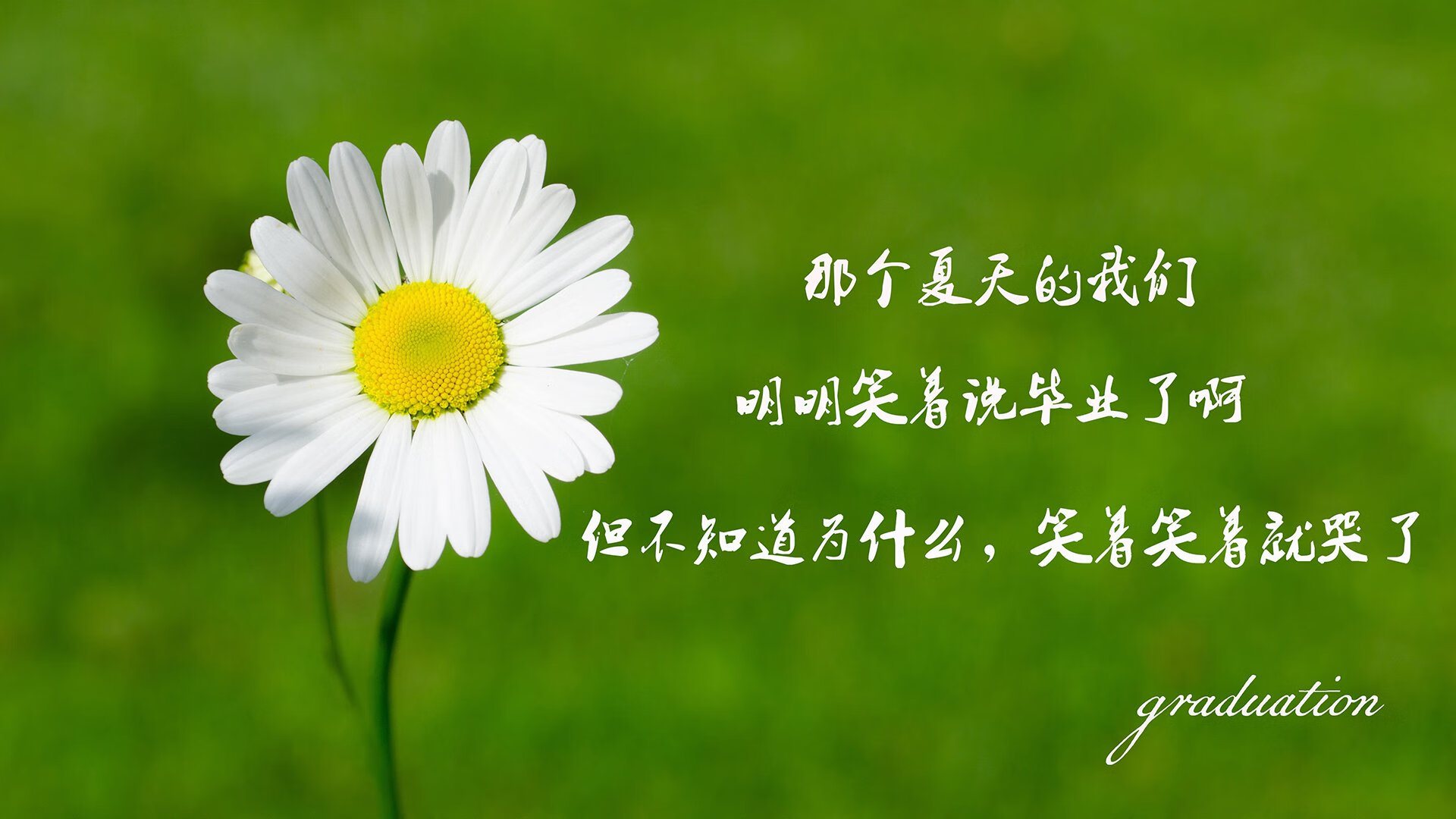 九游登录入口-桑切斯回归意甲，重新加盟老东家助助攻球队，桑切斯加盟阿森纳