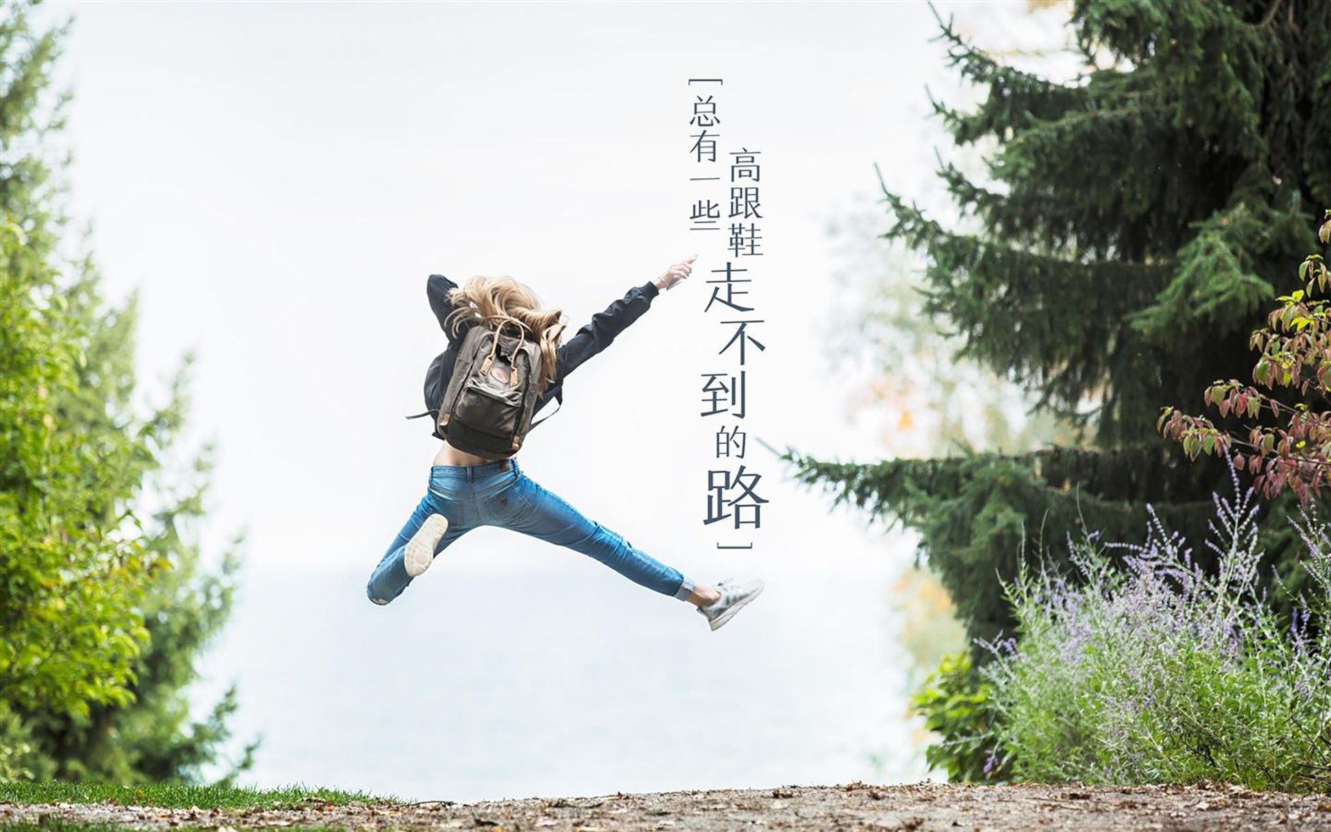 美国马术协会与大学合作，开展马术专业课程，培养专业人才。，美国马术协会polo