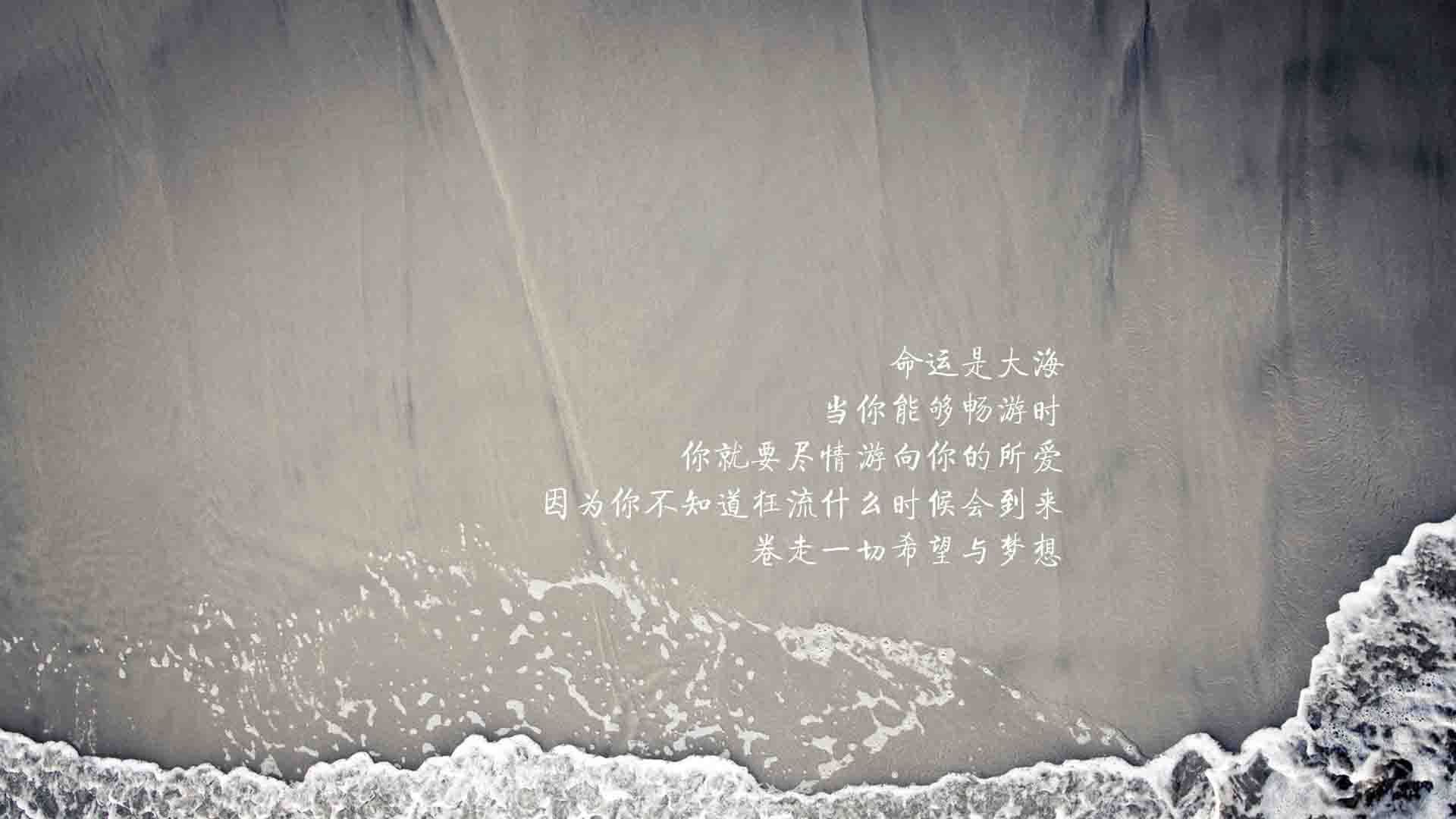 女篮世界杯中国队强势晋级四强,女篮世界杯中国队成绩