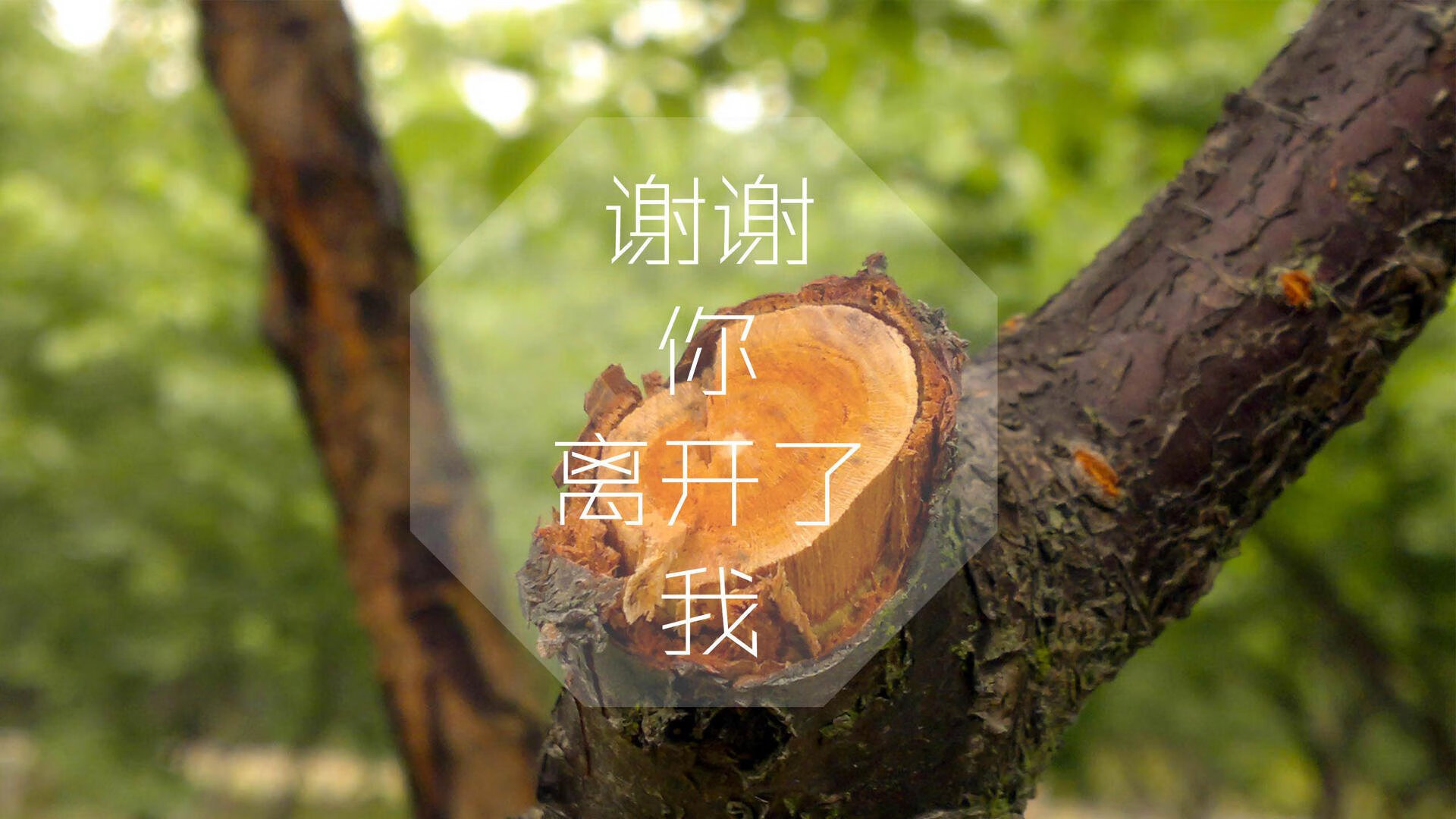 九游娱乐(jiuyou)官网-东契奇突破分球助攻创赛季新高，东契奇突破集锦